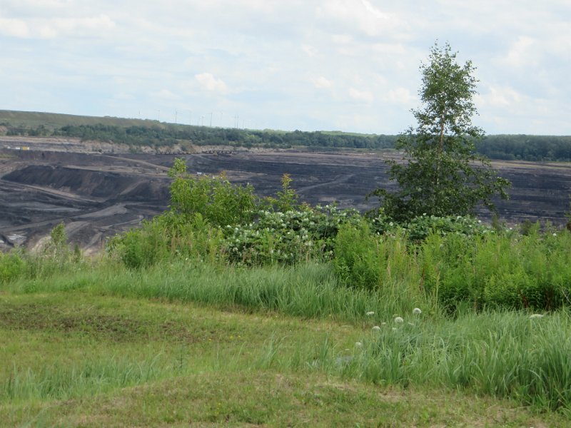 Die Braunkohlegrube 